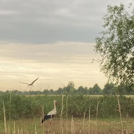 Apartamento Fuchsberge Letschin