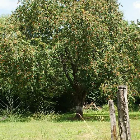 Fuchsberge Apartamento