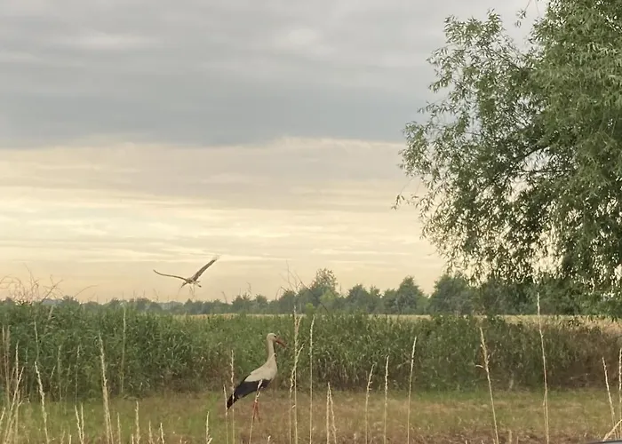 Apartment Fuchsberge Letschin