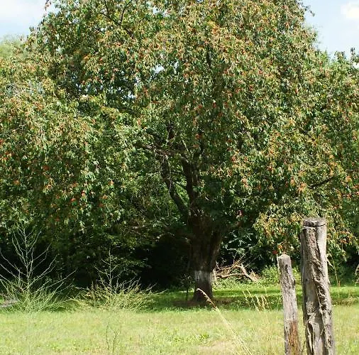 Fuchsberge Apartment